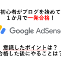 【Googleアドセンス】 初心者がブログを始めて一発合格！ 意識したポイントは？ 合格した後にやることは？